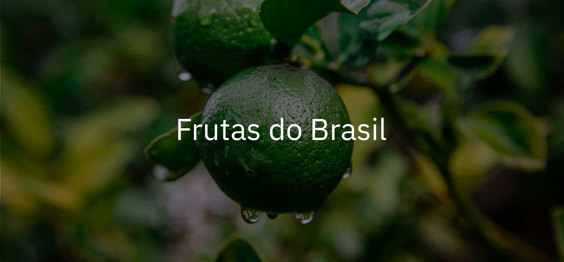 frutas do brasil