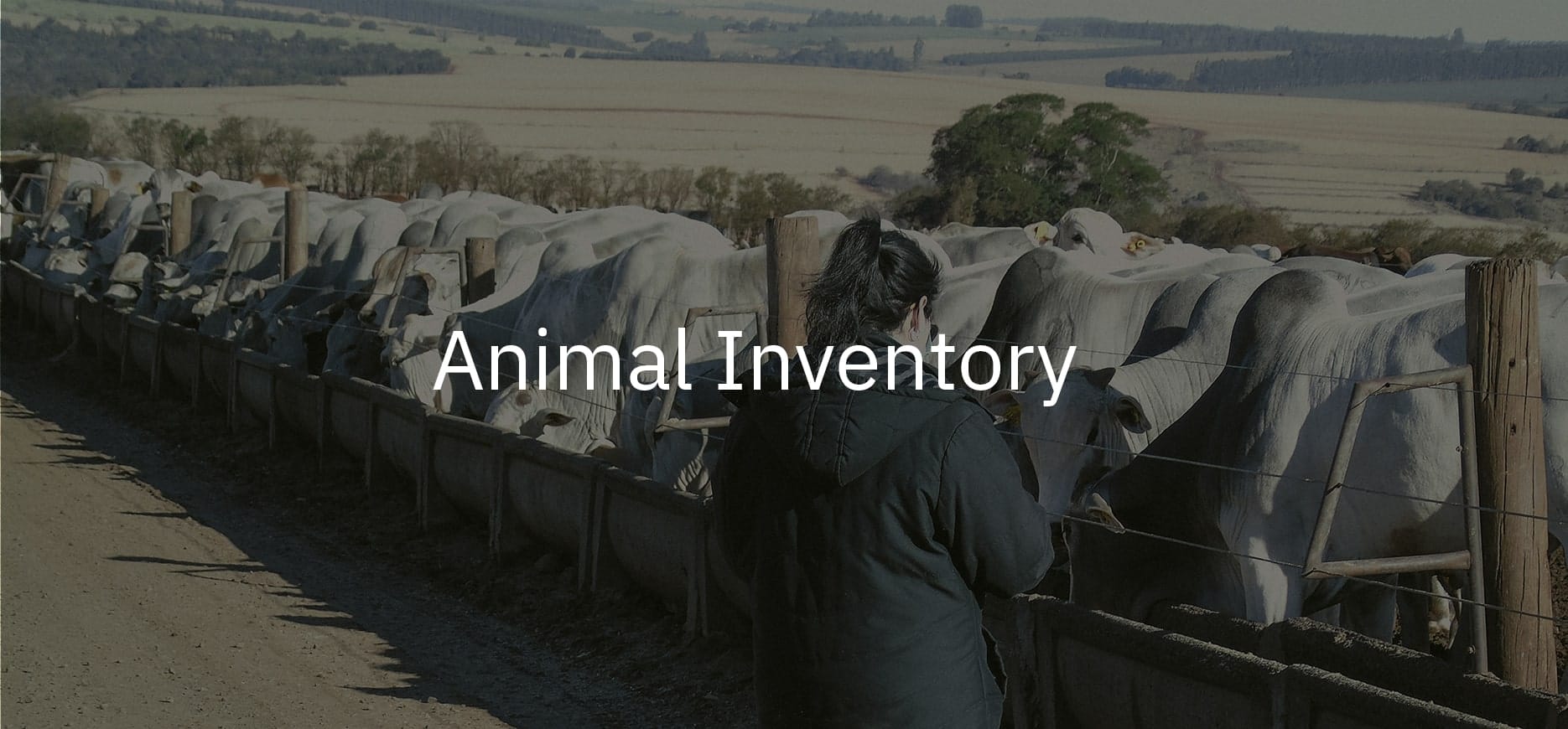 animal inventory min